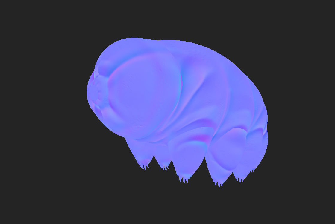Tardigrade toy of worm Low-poly 3D model_5