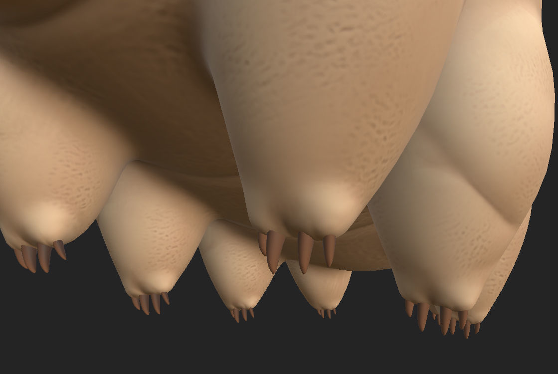 Tardigrade toy of worm Low-poly 3D model_10