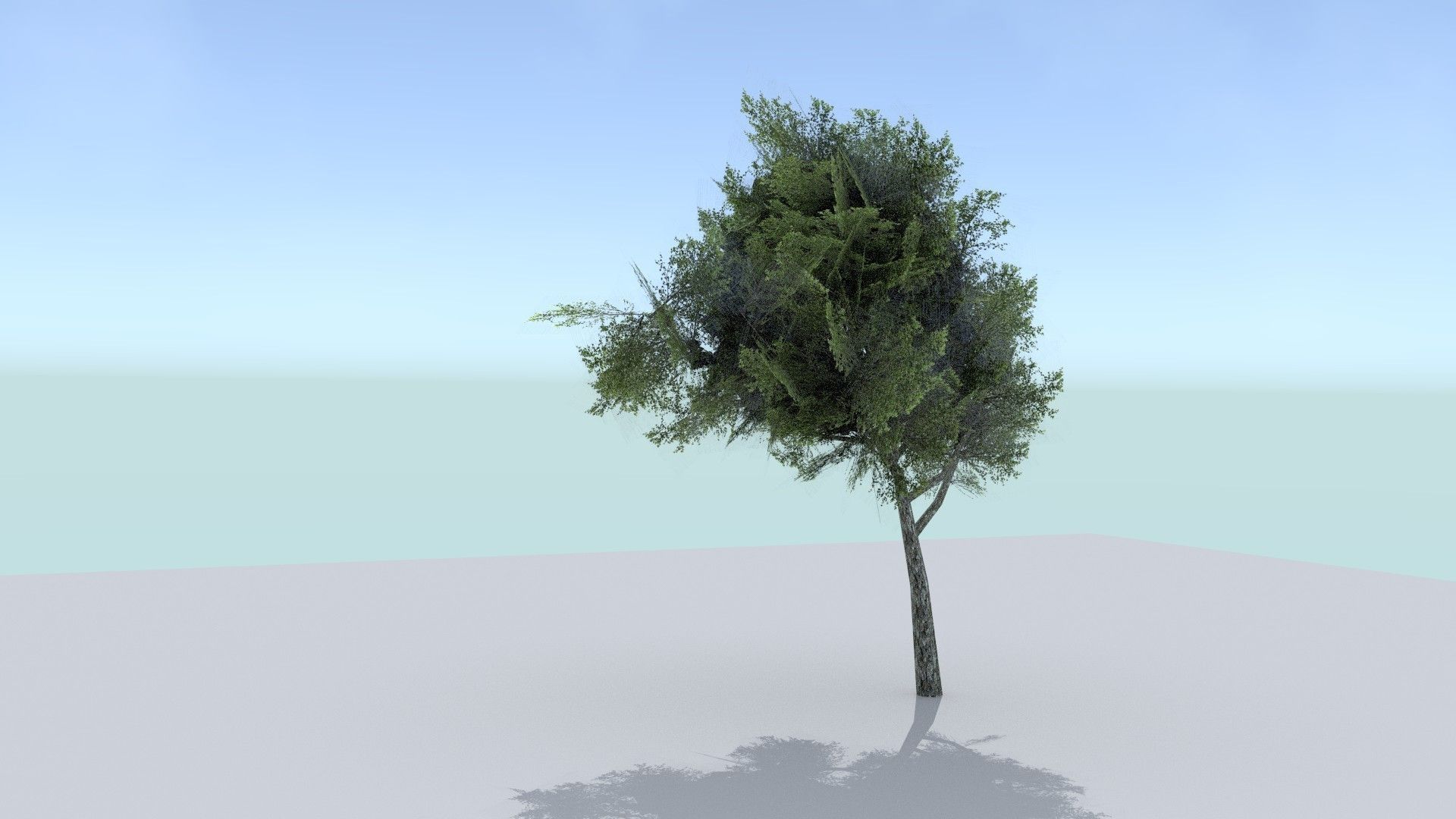 Ash Tree Low-poly 3D model_3