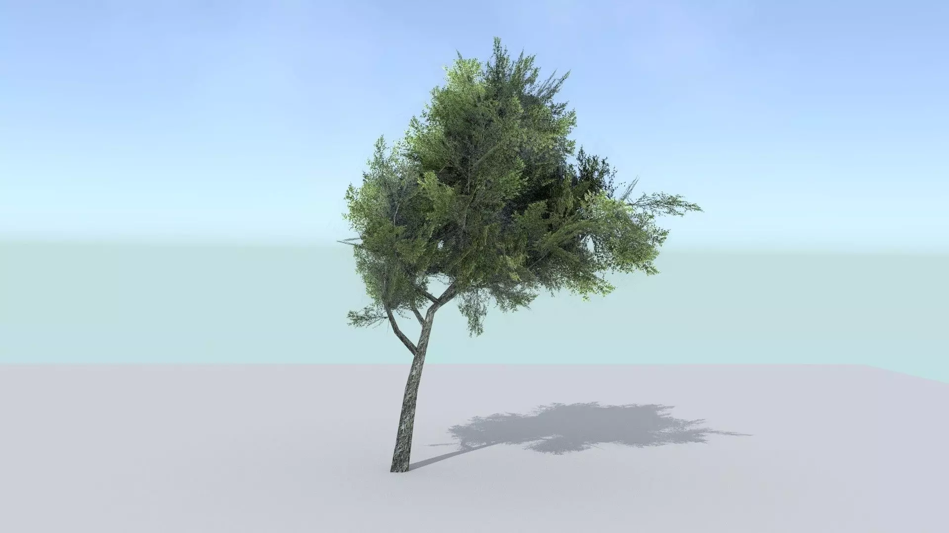 Ash Tree Low-poly 3D model_0