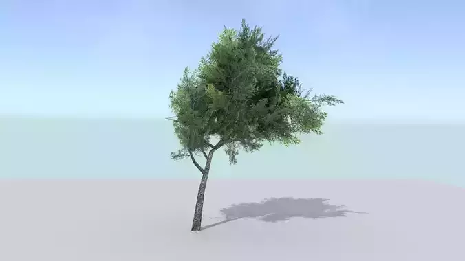 Ash Tree Low-poly 3D model