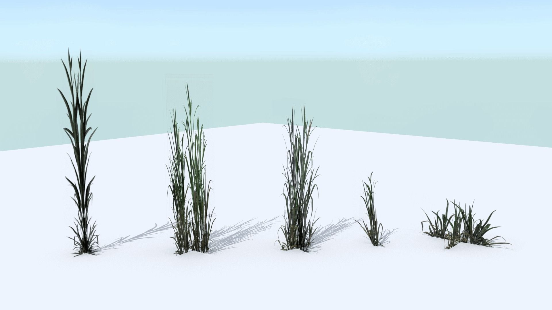 Tall Grass Pack Low-poly 3D model_2