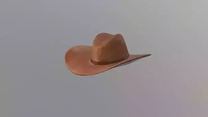 Used cowboy hat