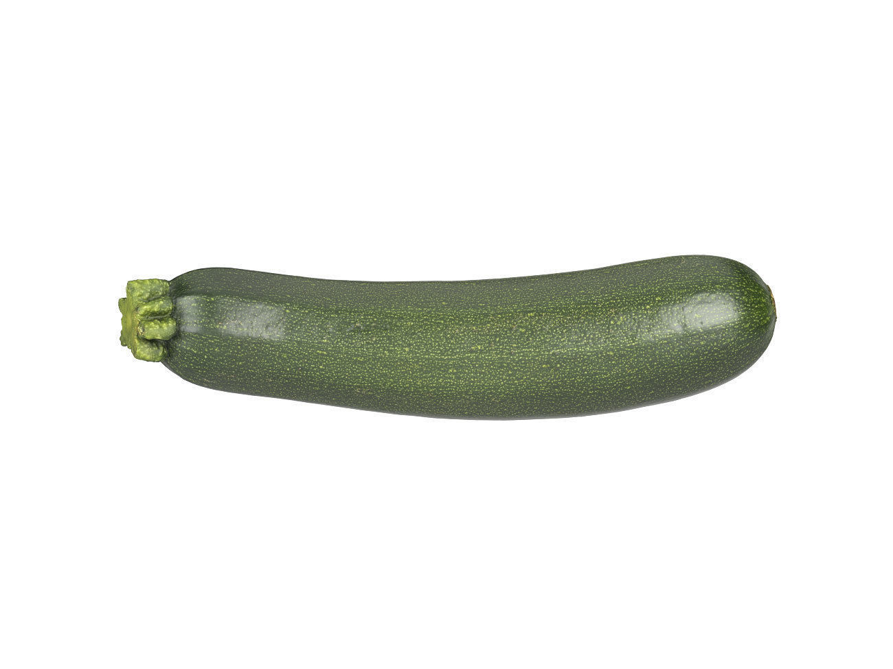 Photorealistic Zucchini 3D Scan 3D model_2