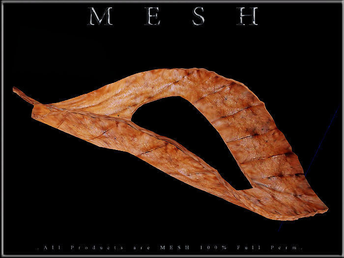 Heart Dry Leaf - Curved Low-poly 3D model_2