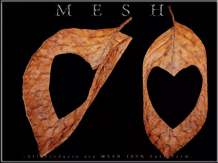 Heart Dry Leaf - Curved Low-poly 3D model_0