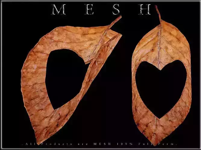 Heart Dry Leaf - Curved Low-poly 3D model
