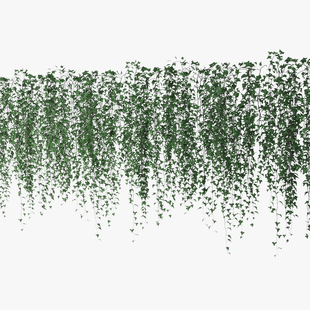 Ivy wall 07 3D model_5