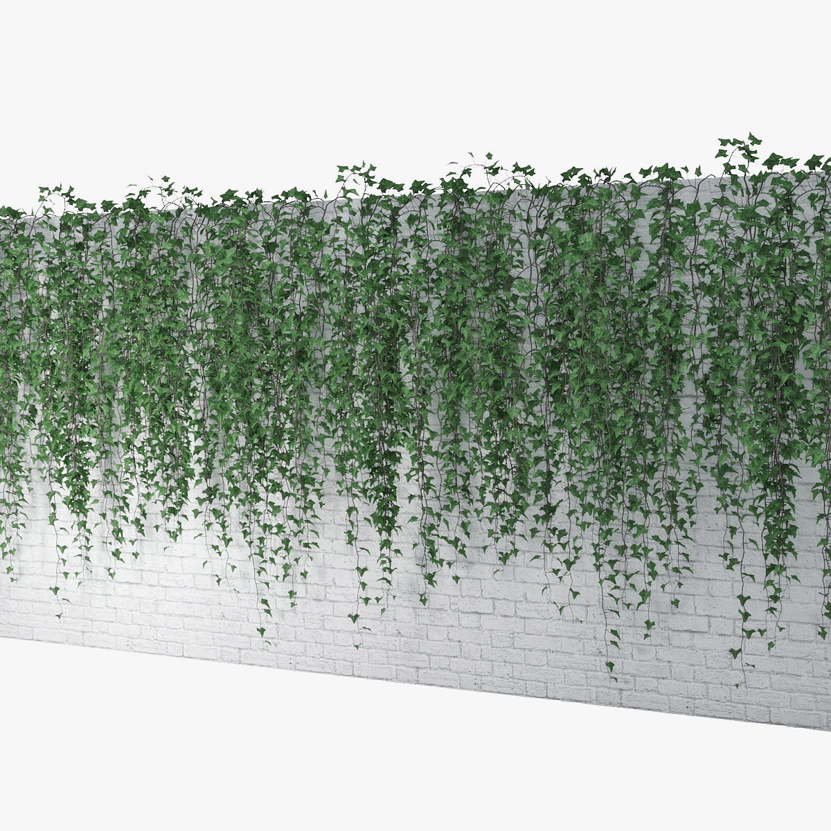 Ivy wall 07 3D model_4