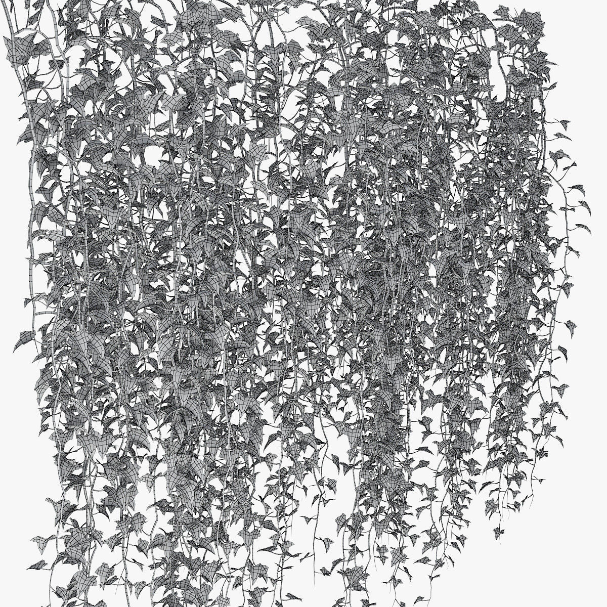 Ivy wall 07 3D model_13