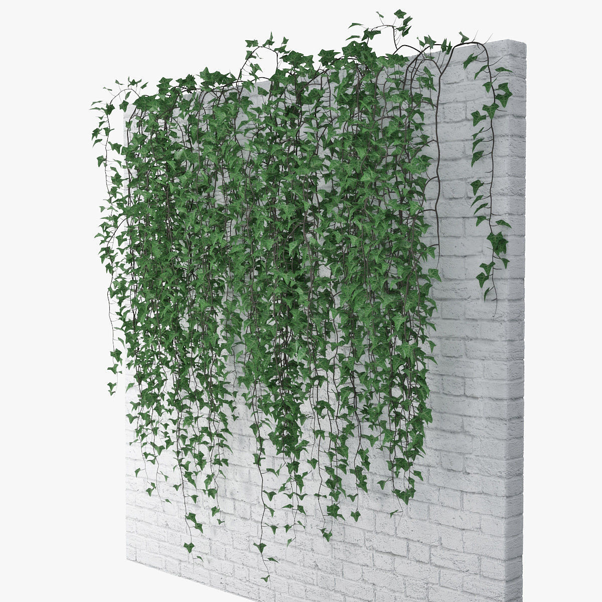Ivy wall 07 3D model_3