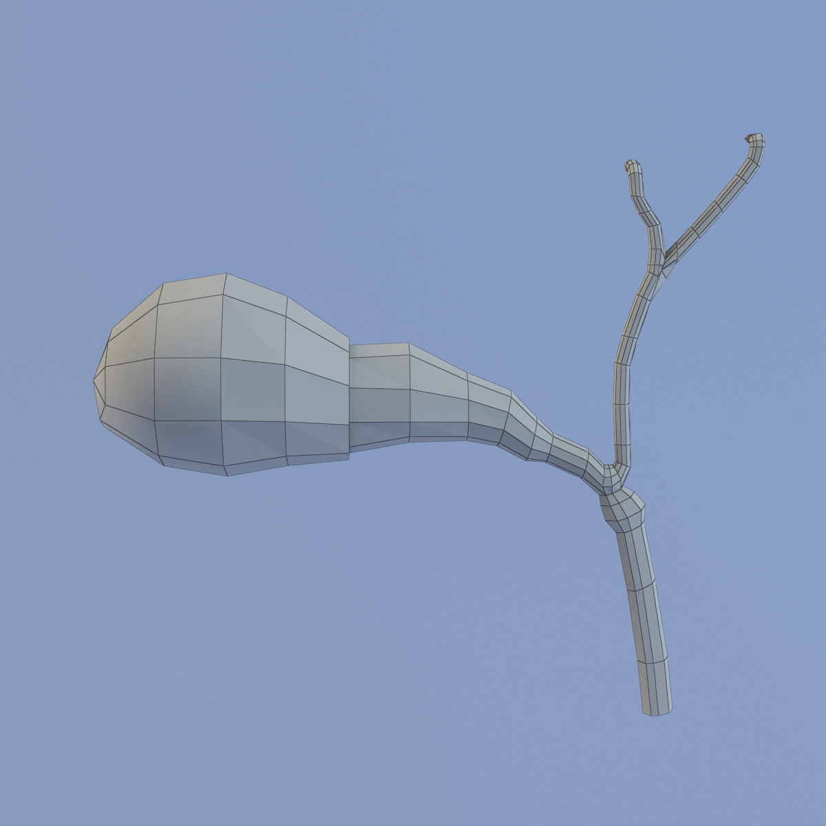 Gallbladder Max 2011 3D model_8
