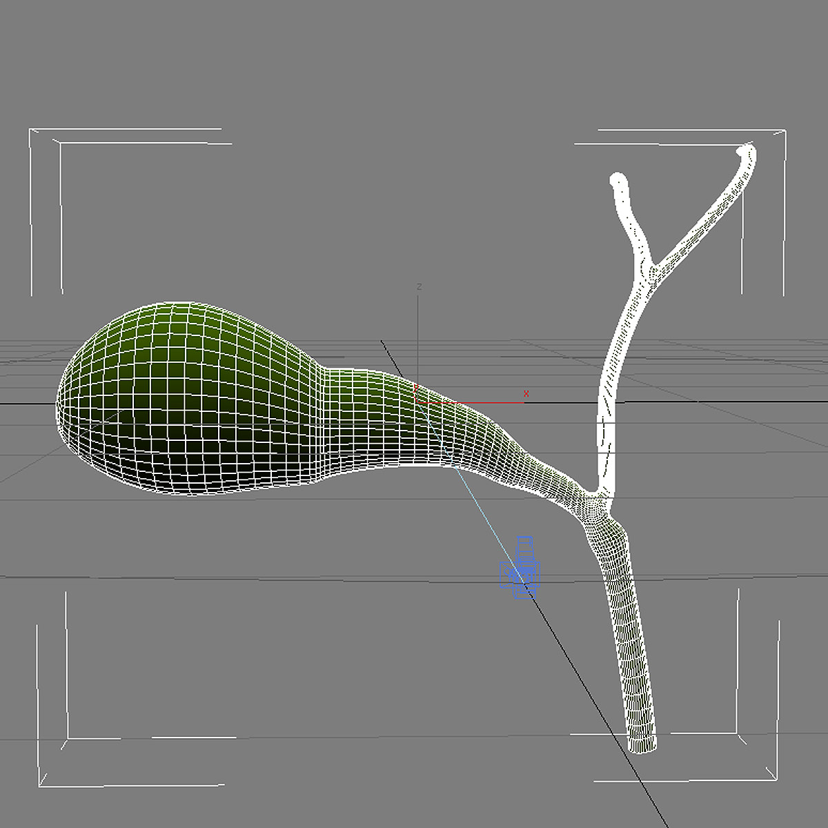 Gallbladder Max 2011 3D model_4