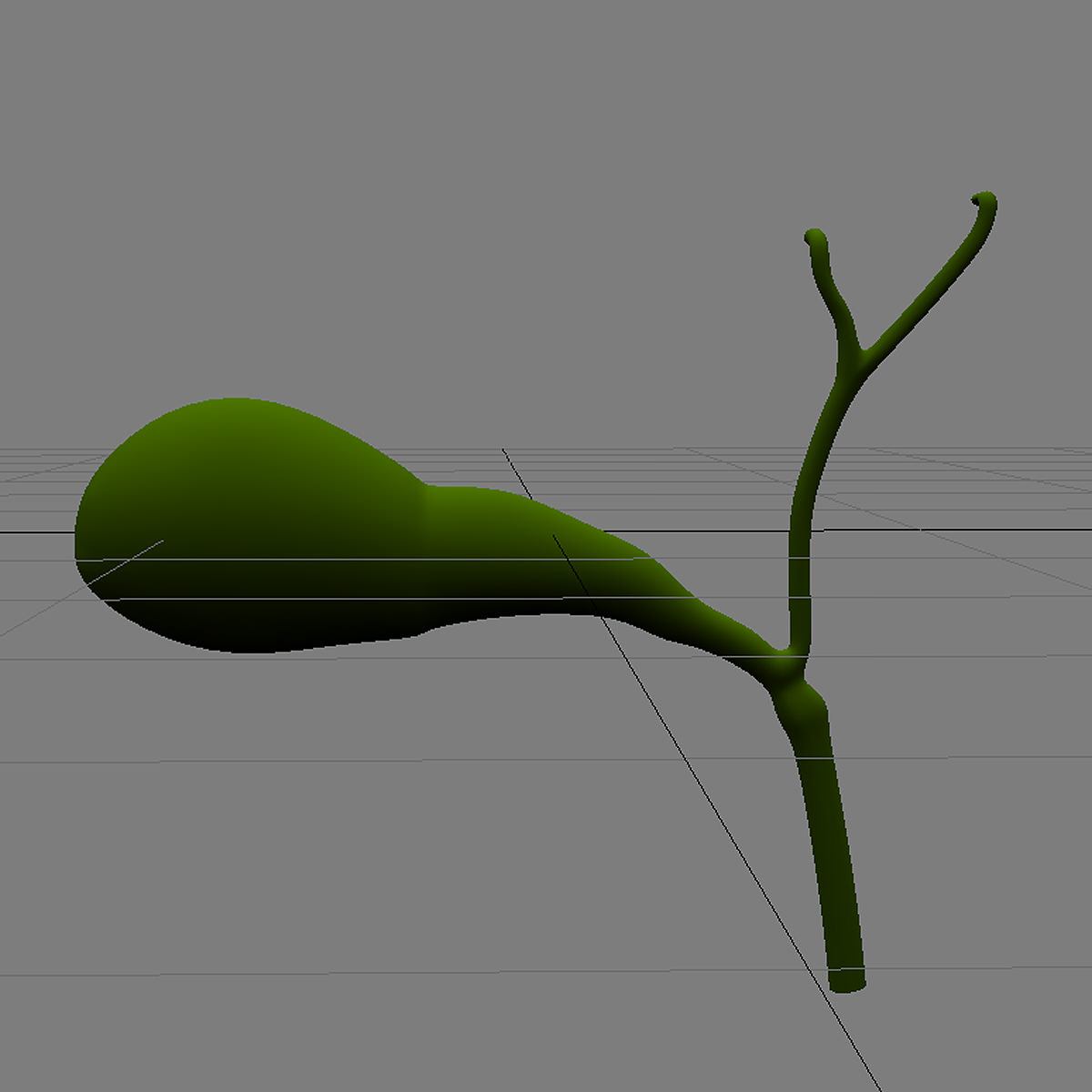 Gallbladder Max 2011 3D model_7