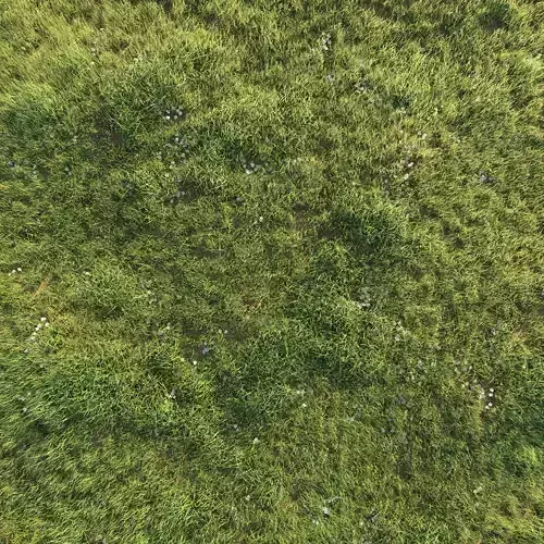 Grass set 1 - texture pack