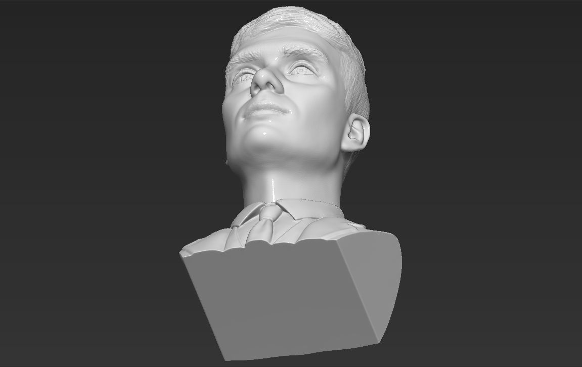Tommy Shelby from Peaky Blinders bust for full color 3D printing 3D print model_47