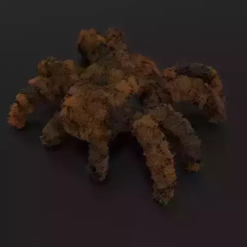 Tarantula rigged and animated