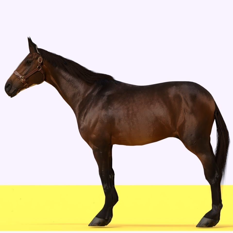 Horse 3D model_6