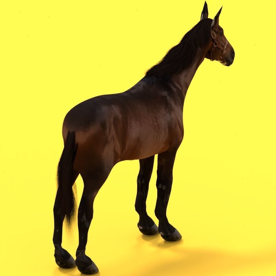 Horse 3D model_7