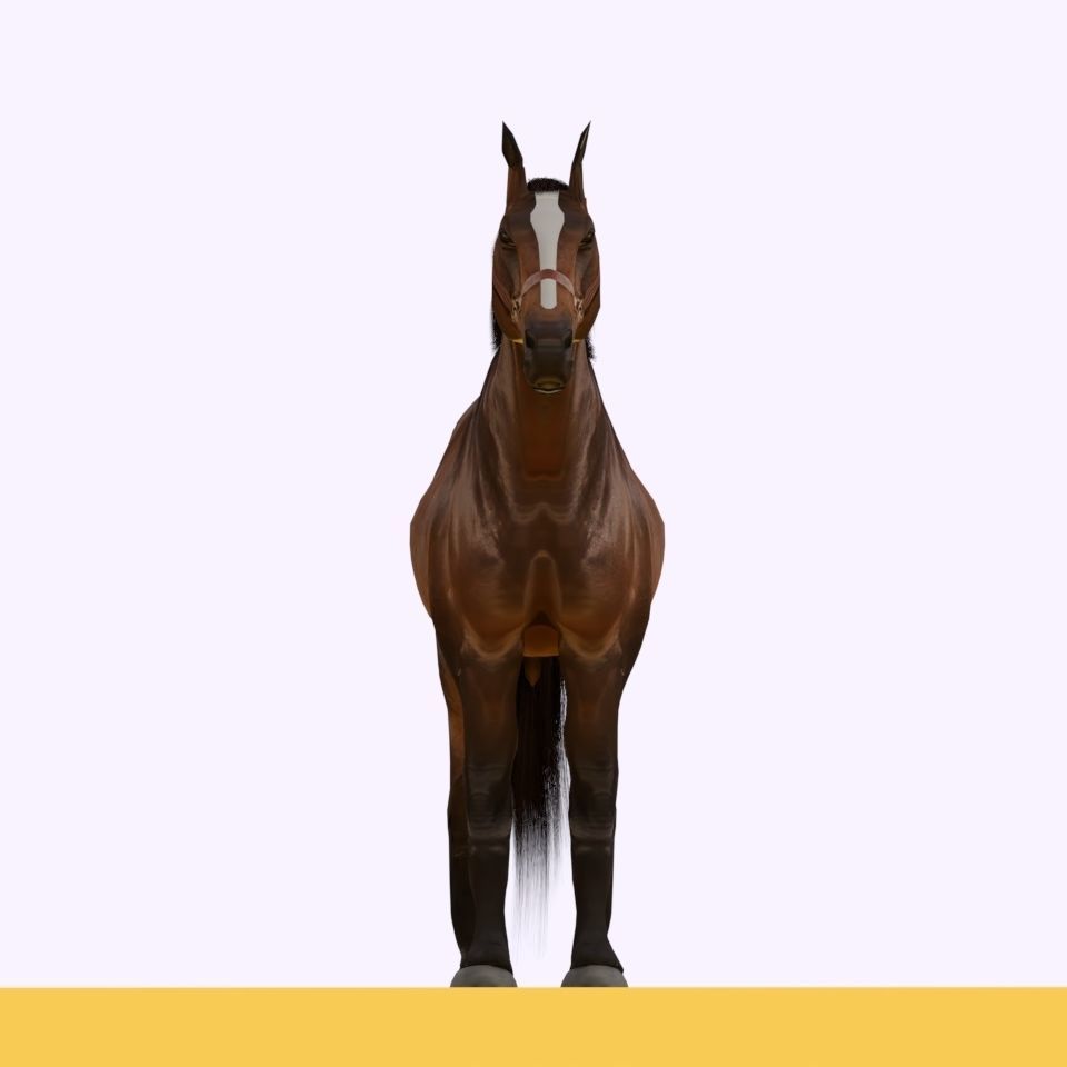 Horse 3D model_11