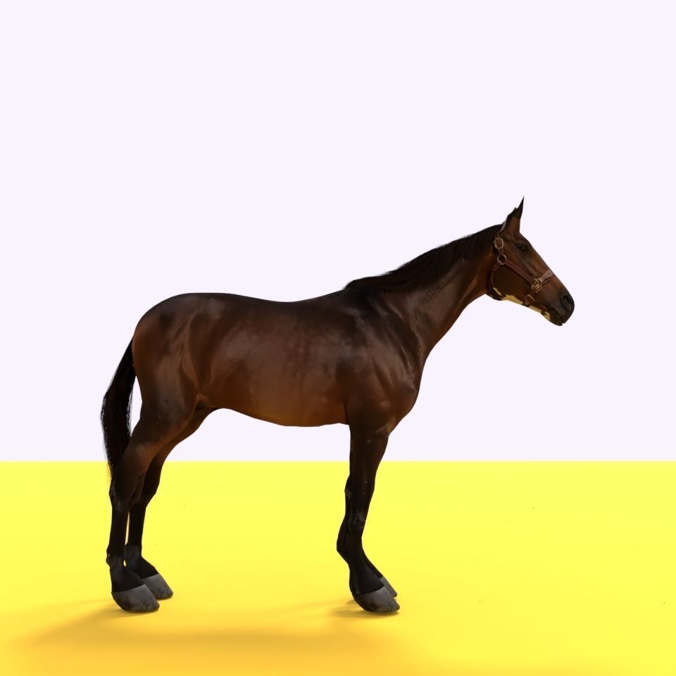 Horse 3D model_9