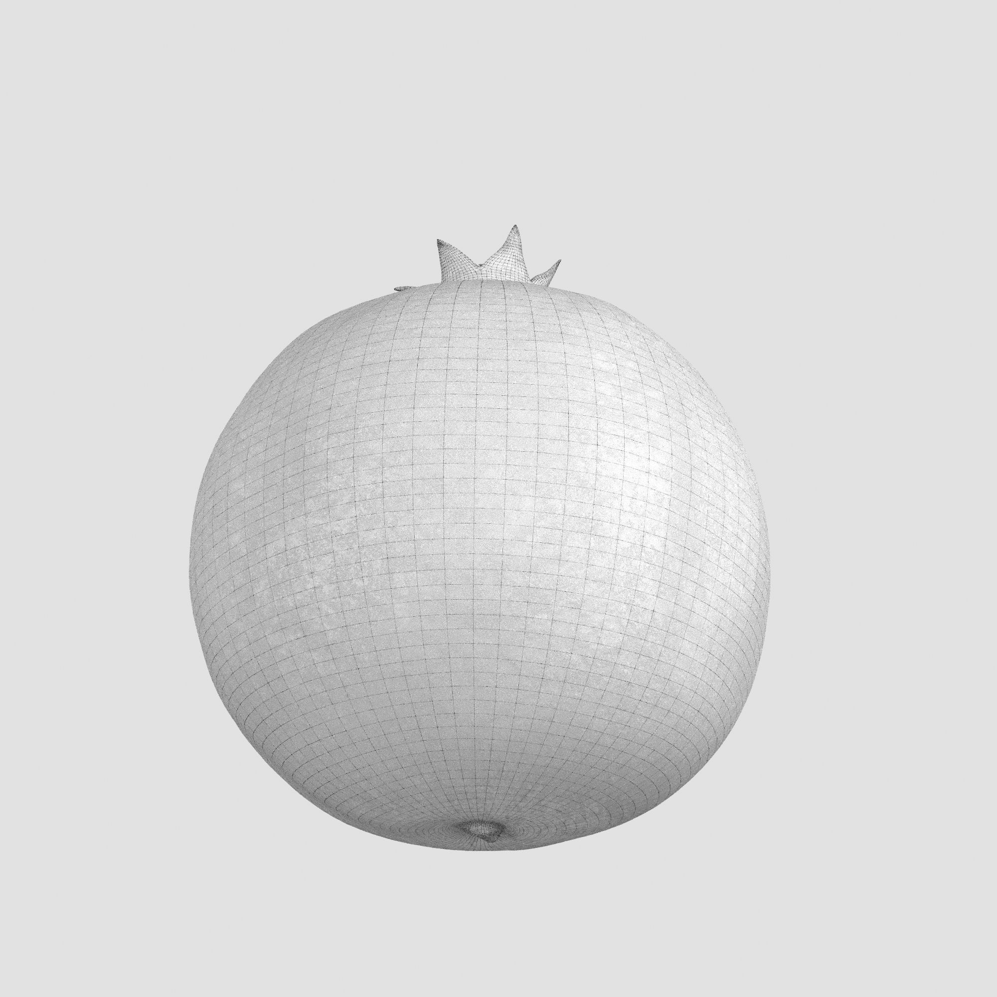 Pomegranate 3D model_5
