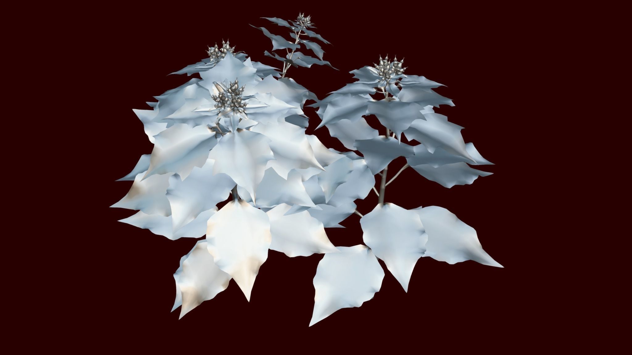 Flower Euphorbia Pulcherrima Low-poly 3D model_6