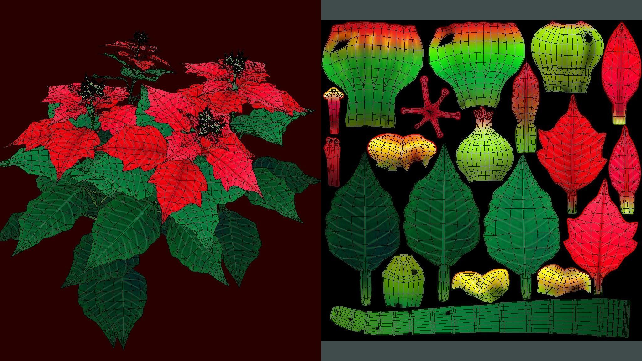 Flower Euphorbia Pulcherrima Low-poly 3D model_5