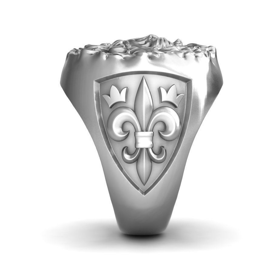 Ring The Lion King 3D print model_4