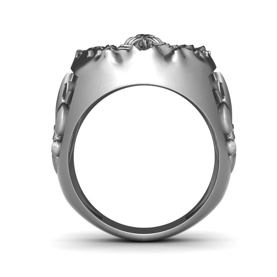 Ring The Lion King 3D print model_5