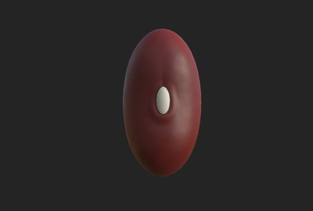 Red Kidney Bean Low-poly 3D model_6