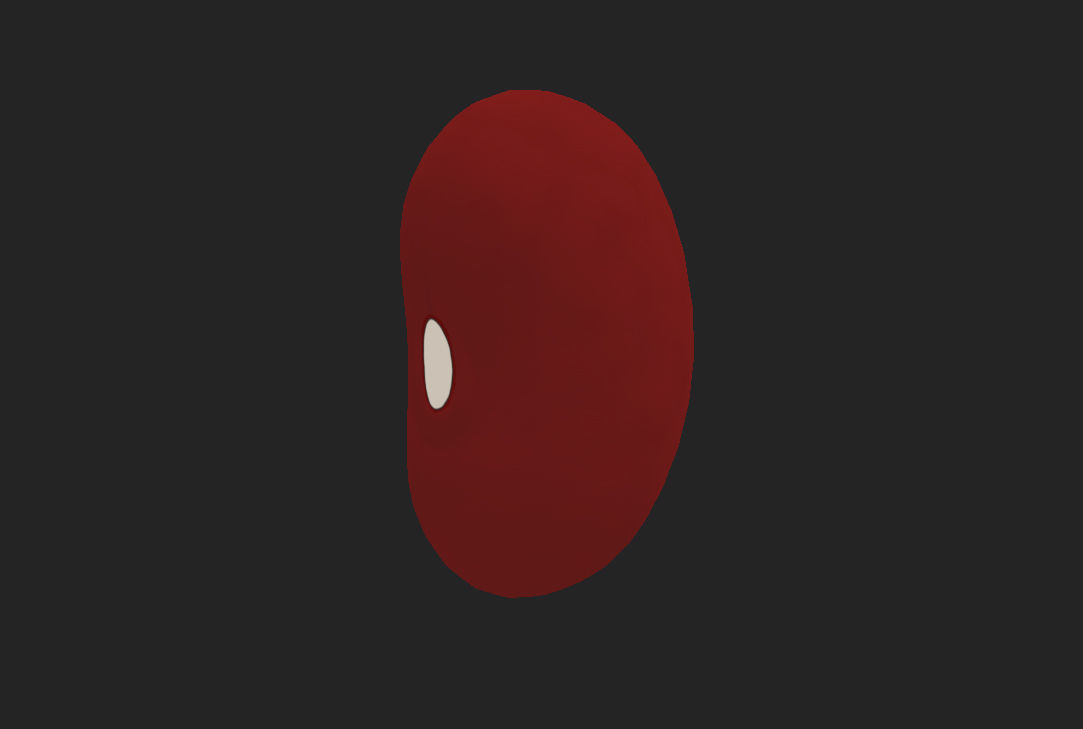 Red Kidney Bean Low-poly 3D model_4