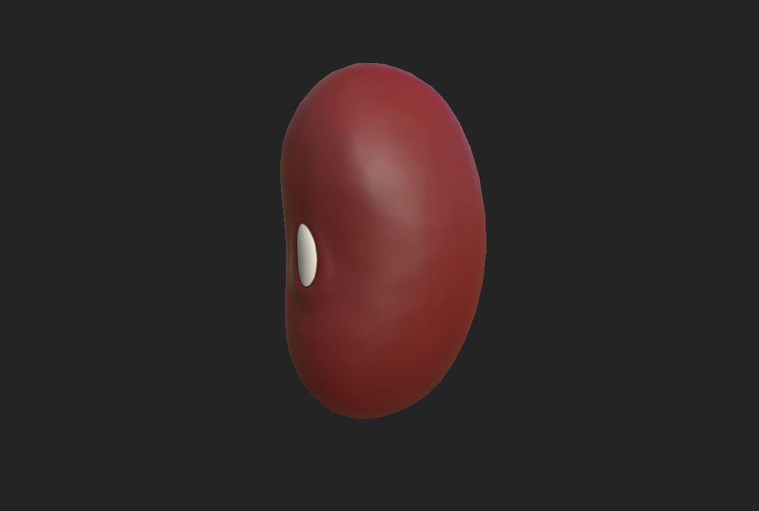 Red Kidney Bean Low-poly 3D model_3
