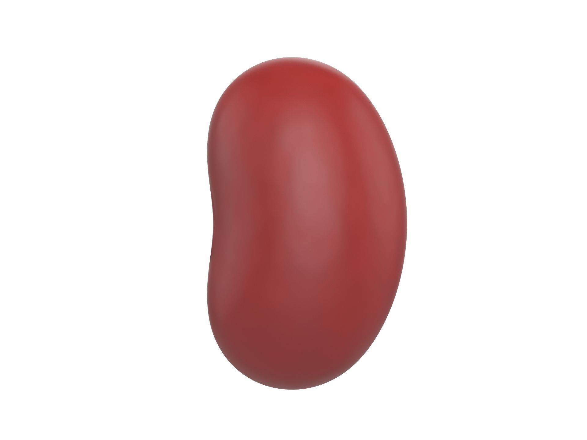 Red Kidney Bean Low-poly 3D model_1