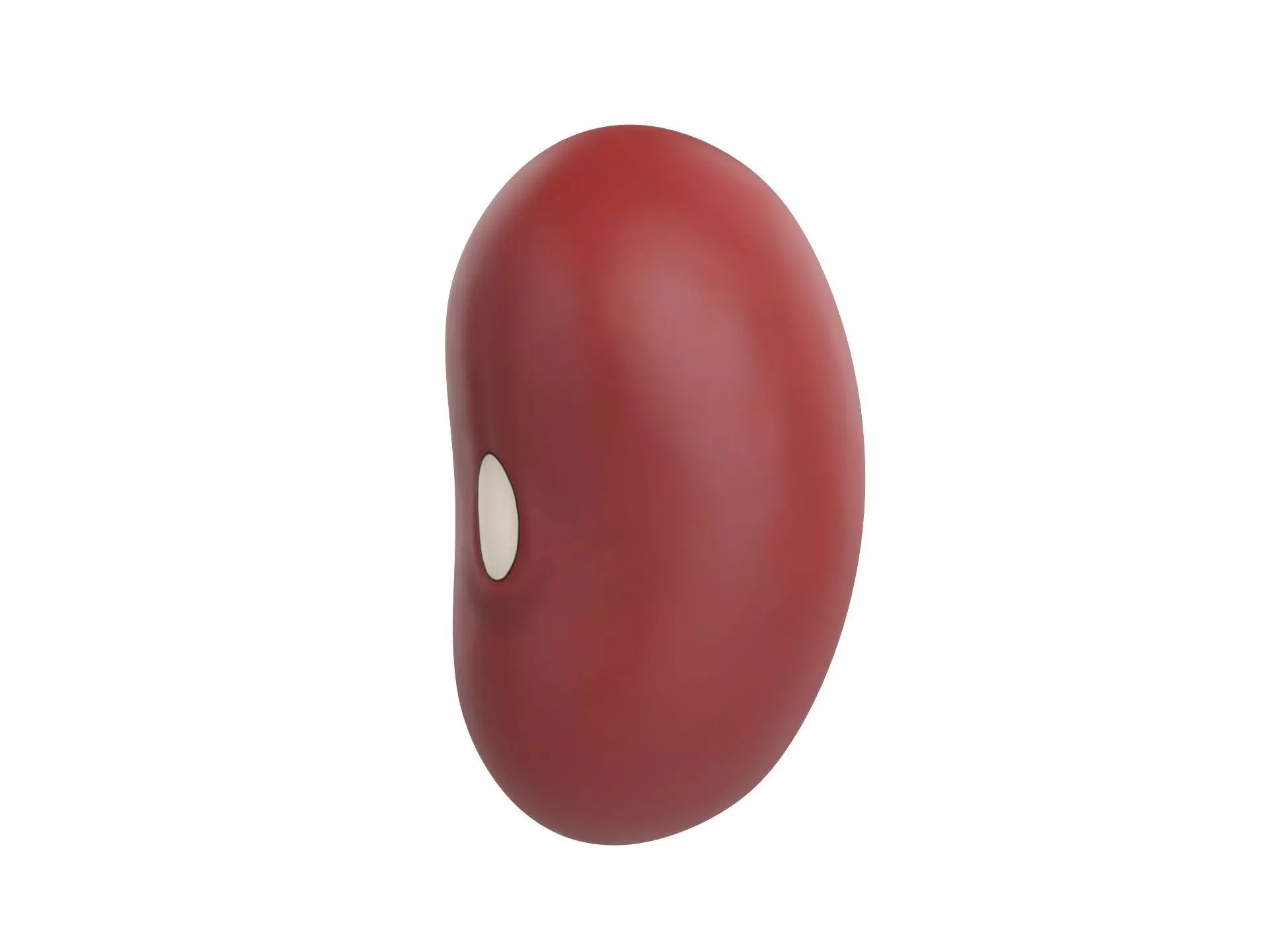 Red Kidney Bean Low-poly 3D model_0
