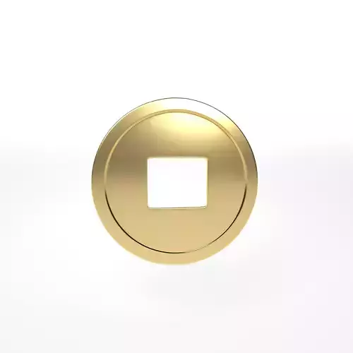 Chinese Coin v1 001