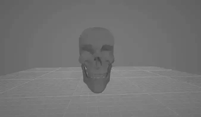 High Poly Realistic Human Skull Model with Sample Teeth 3D model