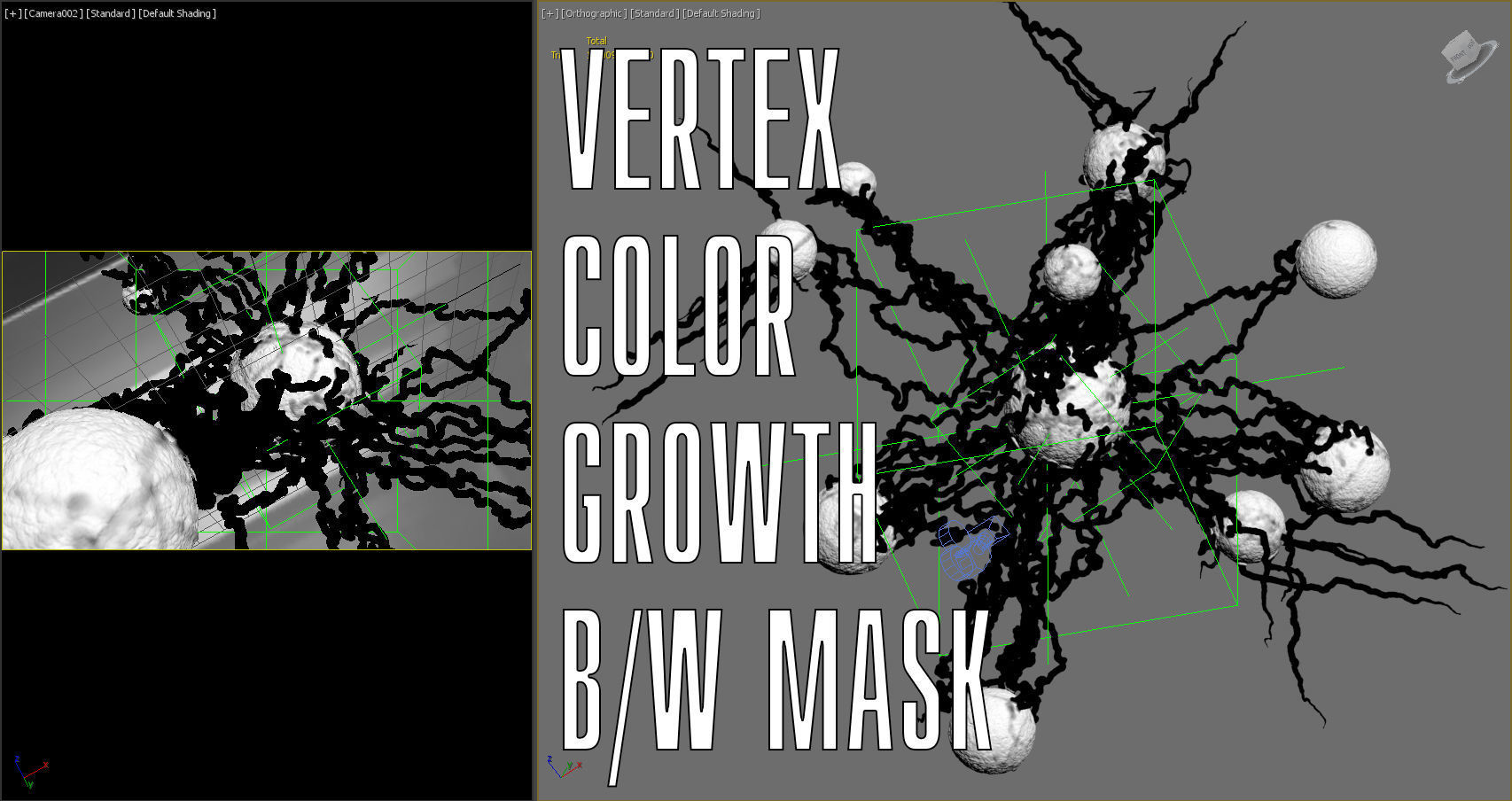 Cancer Growth 4 Static Hipoly 3D model_9