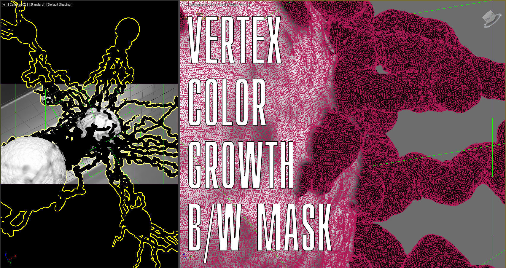 Cancer Growth 4 Static Hipoly 3D model_10