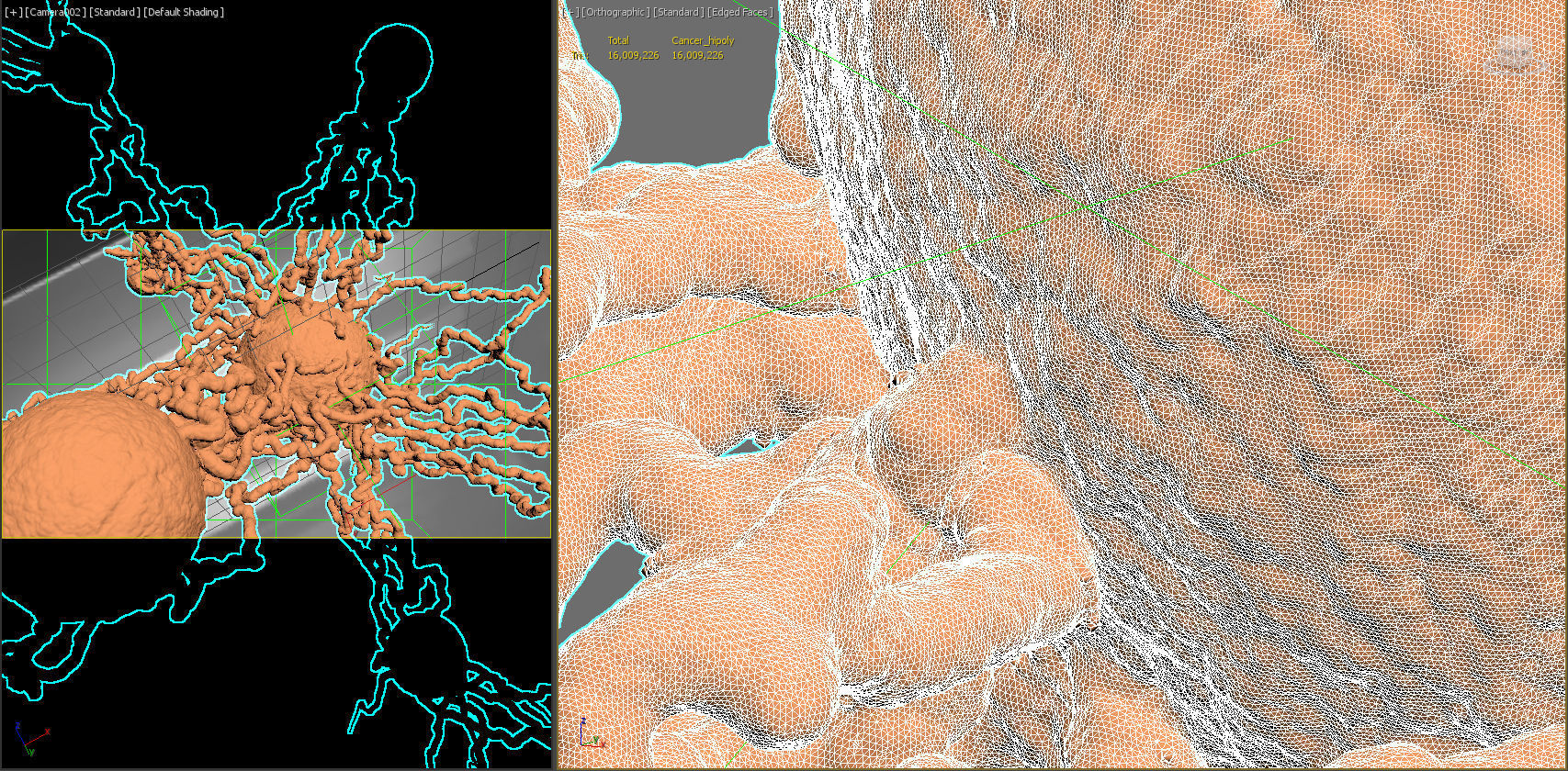 Cancer Growth 4 Static Hipoly 3D model_8