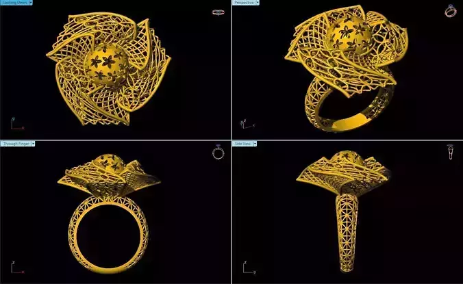 Fusion Ring Models 
