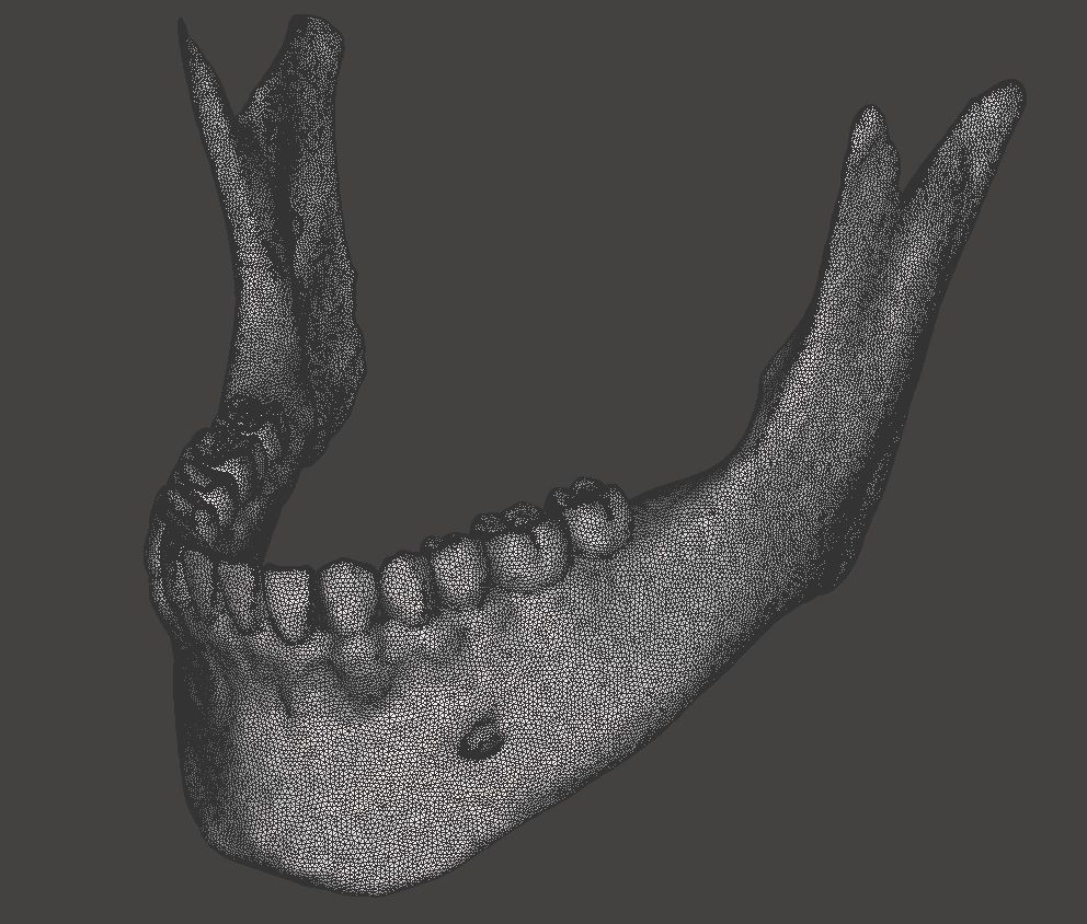 Jaw with teeths 3D model_2
