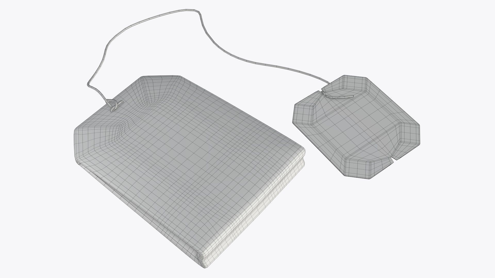 Tea bag with label 04 3D model_3