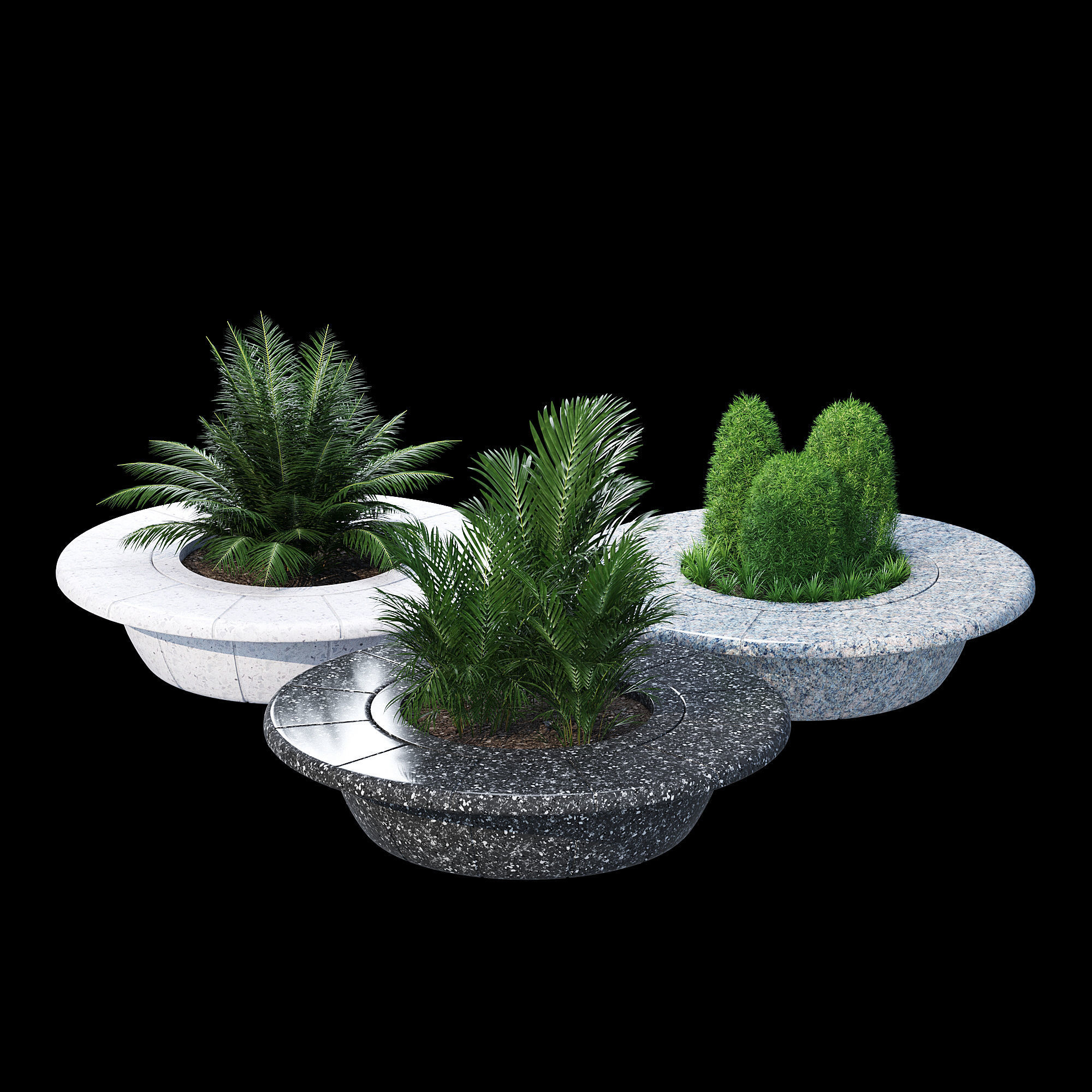 Ring tree 3D model_3