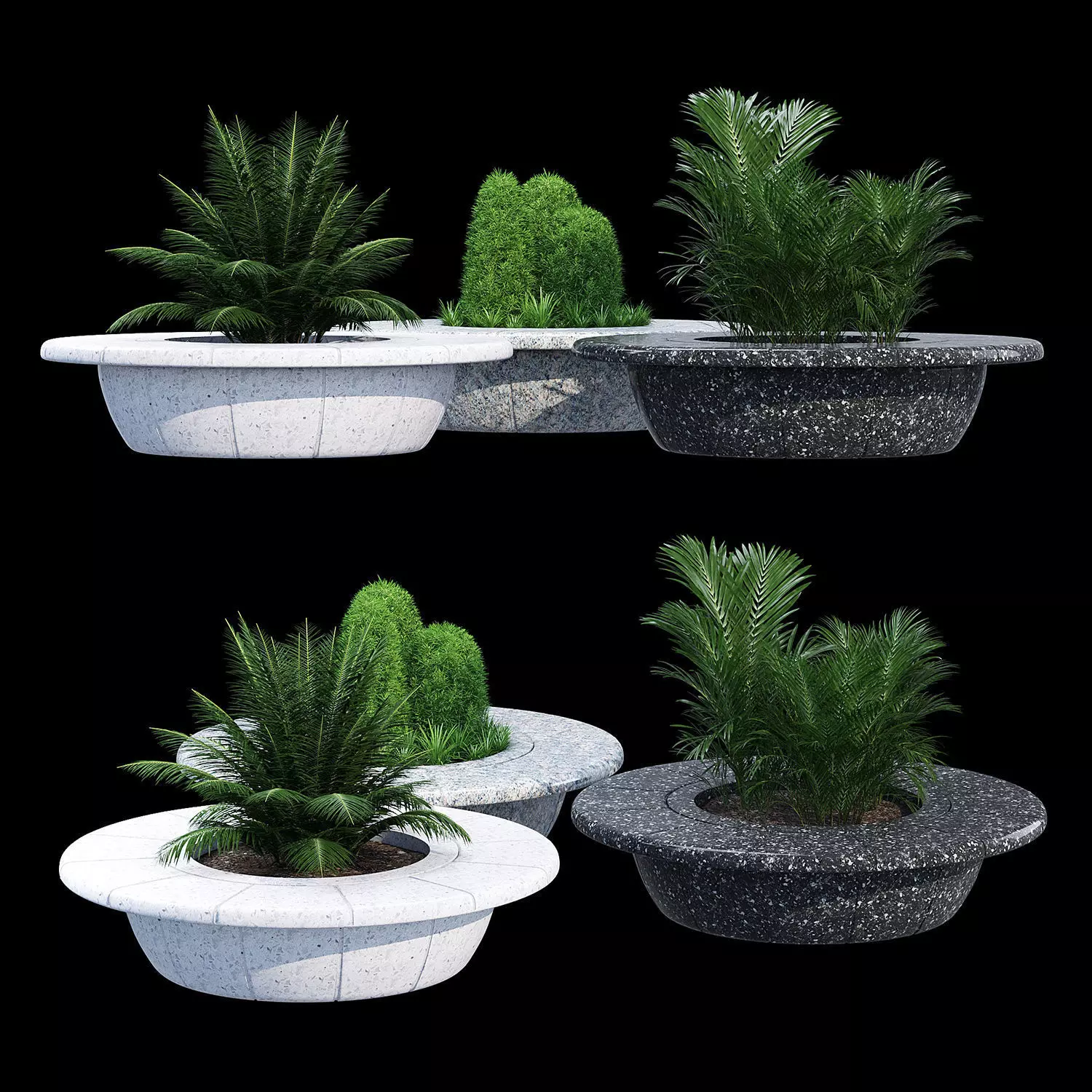 Ring tree 3D model_0