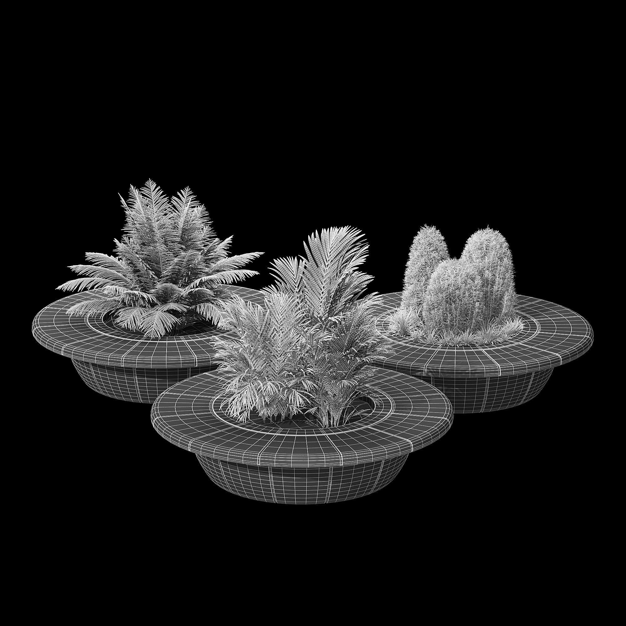 Ring tree 3D model_7