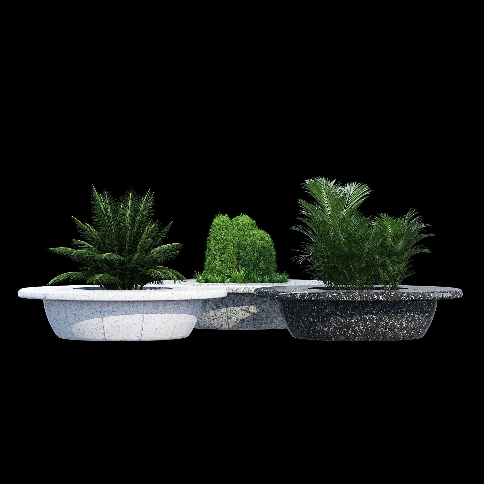 Ring tree 3D model_2