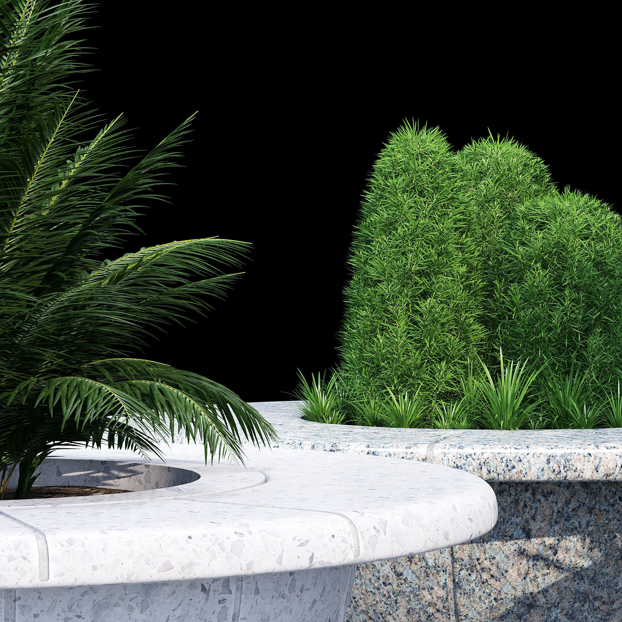 Ring tree 3D model_5