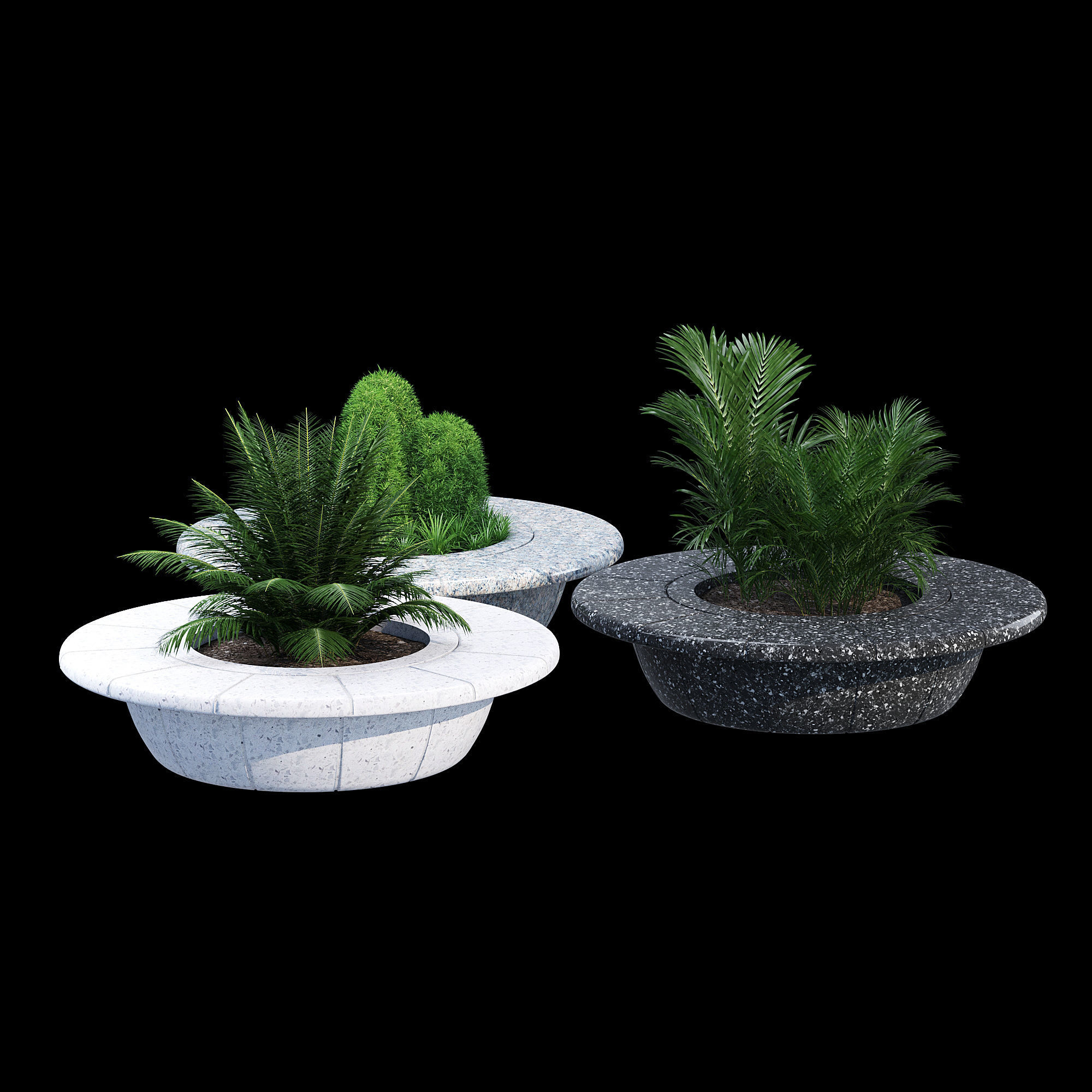 Ring tree 3D model_1