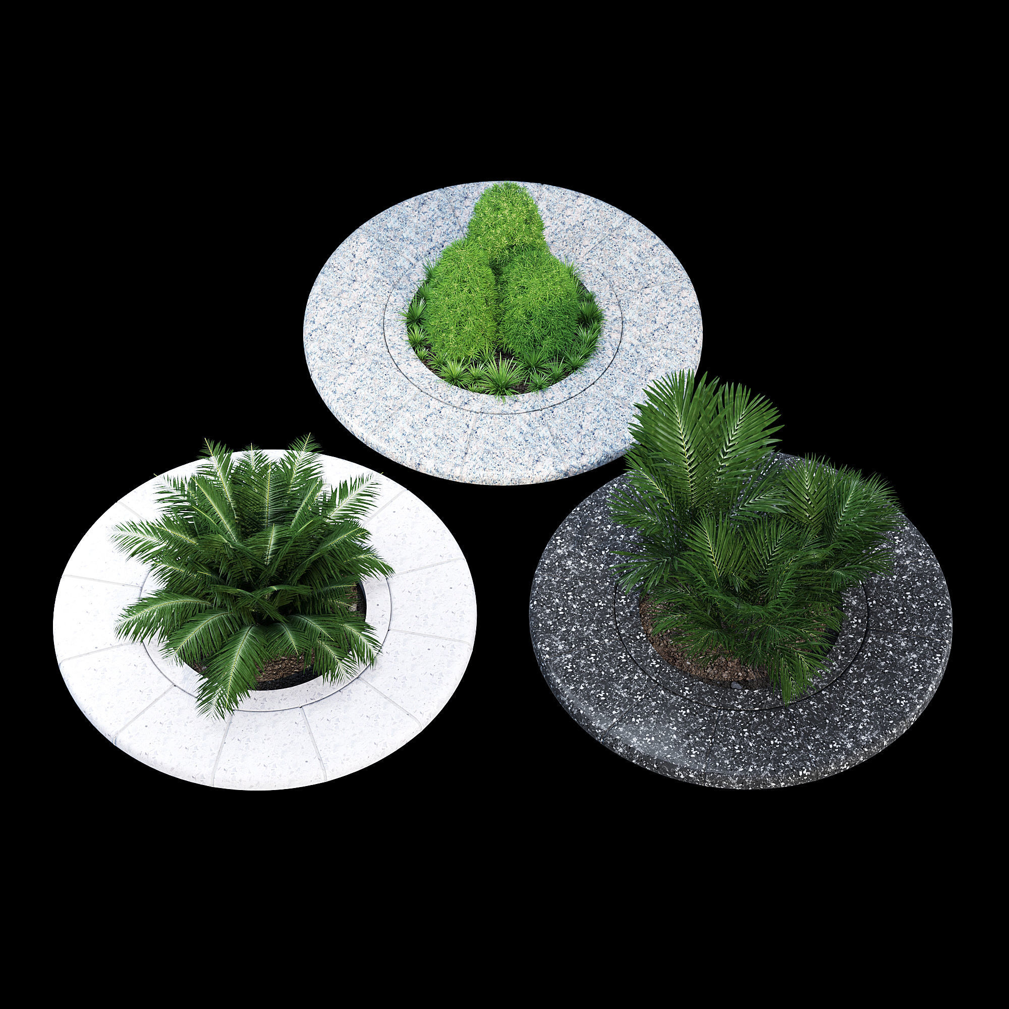 Ring tree 3D model_4